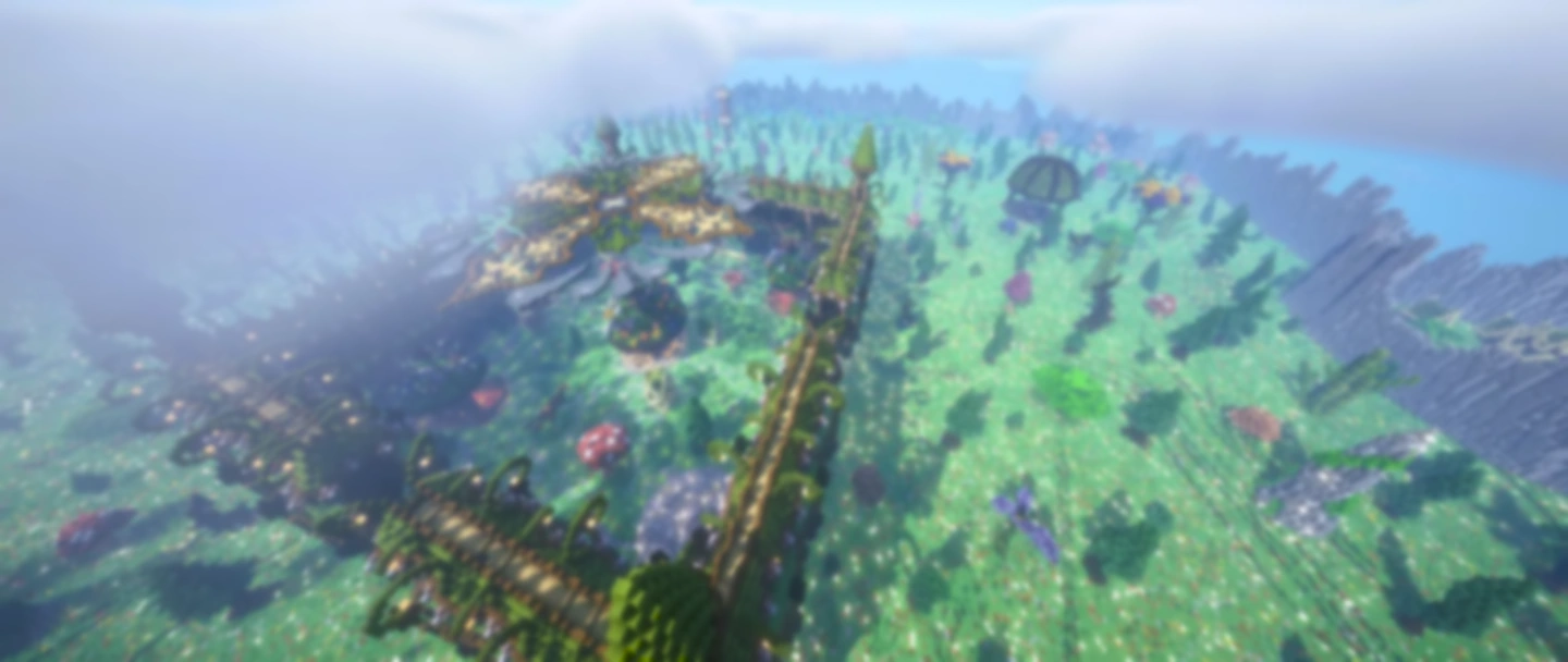 Image ouverture du serveur
